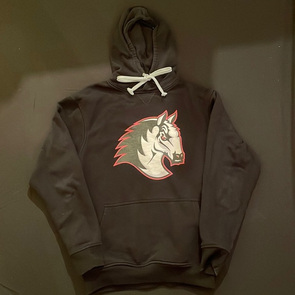 Mustang exclusive hoodie - Picture 1 of 3